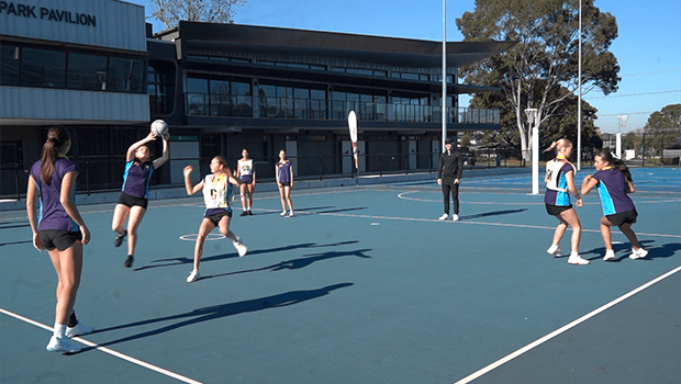 NETBALL PULLEY SYSTEM